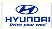 hyundai white rect only available to hyundai   dealers 